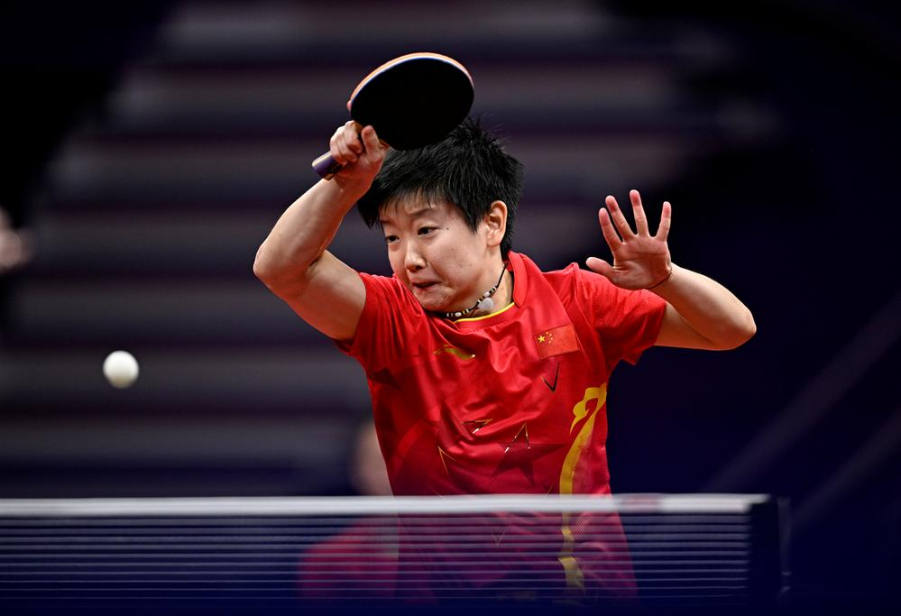 樊振东目前 樊振东目前